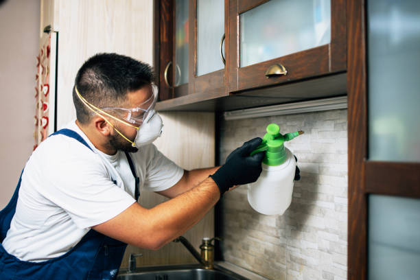 Best Wasp Removal Services  in Dermott, AR