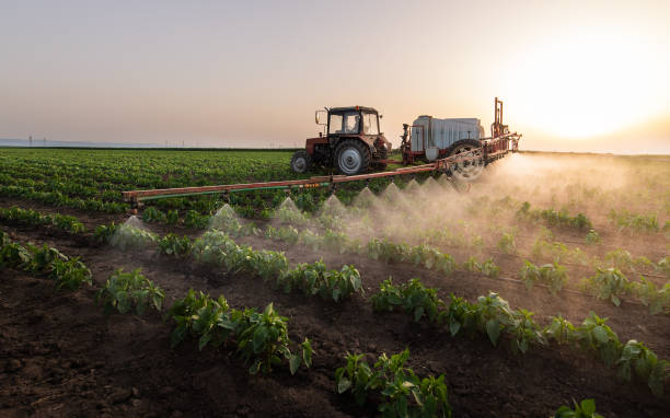 Best Best Pest Control Companies  in Dermott, AR