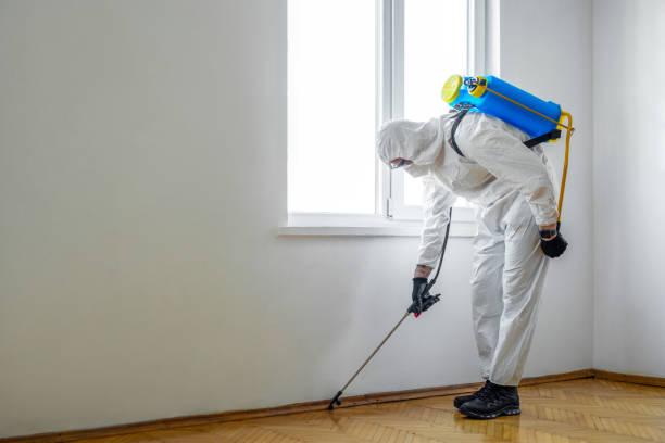 Best Pest Removal Services  in Dermott, AR