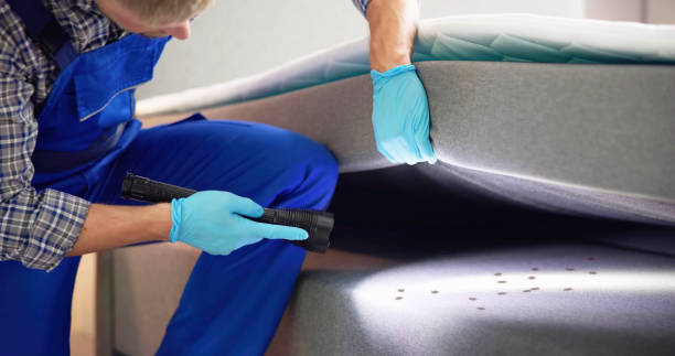 Best Affordable Pest Control Services  in Dermott, AR