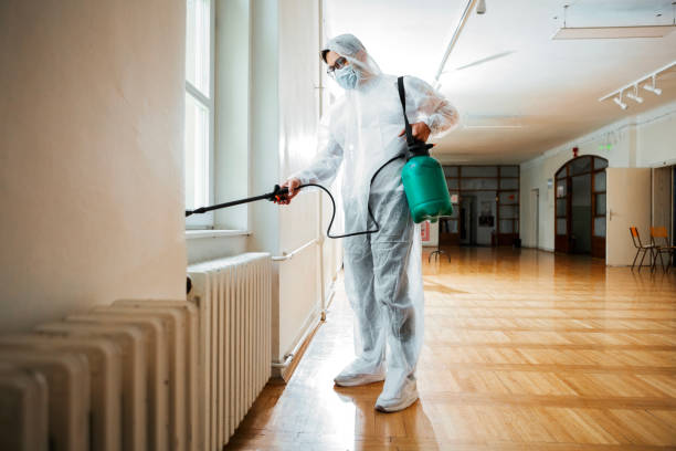 Best Mosquito Control Services  in Dermott, AR