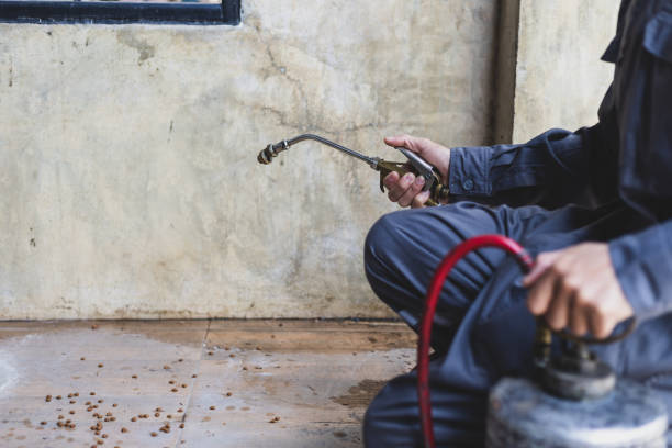 Best Pest Removal Services  in Dermott, AR