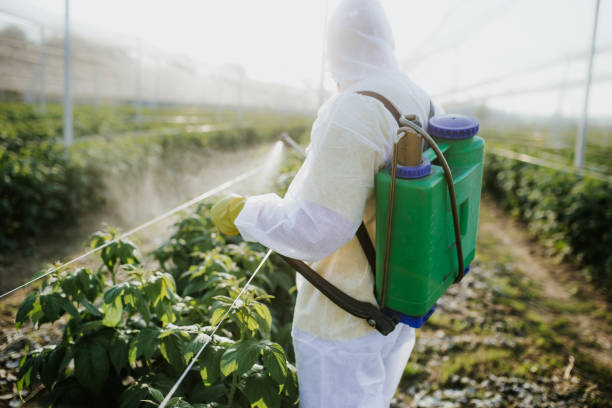 Wildlife Control Services in Dermott, AR